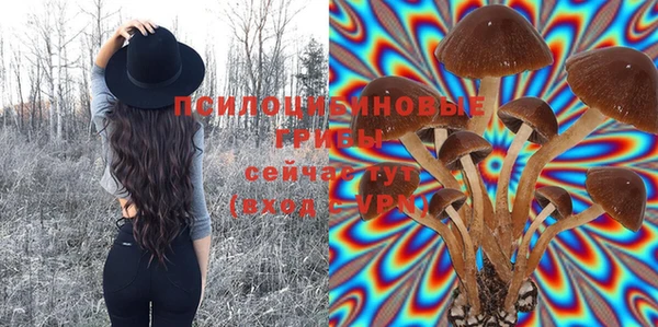 таблы Алексин