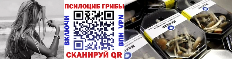 площадка состав KRAKEN как зайти Баймак Галлюциногенные грибы Psilocybe